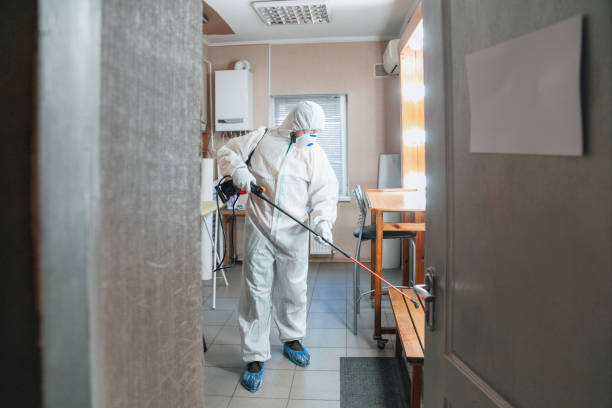 Mold Remediation for Rental Properties in Wellsville, KS